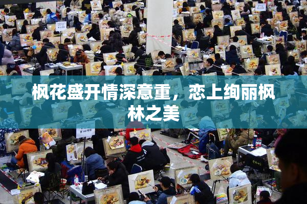 枫花盛开情深意重，恋上绚丽枫林之美