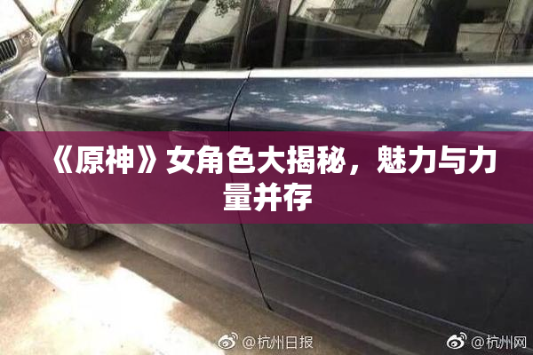 《原神》女角色大揭秘，魅力与力量并存