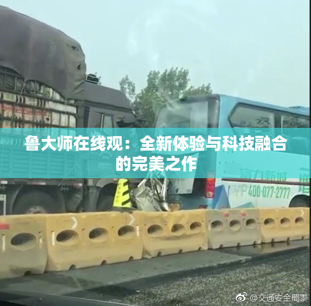 鲁大师在线观：全新体验与科技融合的完美之作