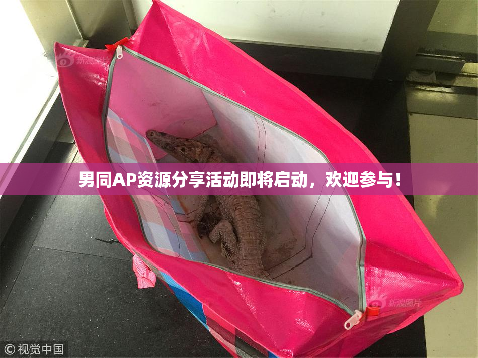 男同AP资源分享活动即将启动，欢迎参与！