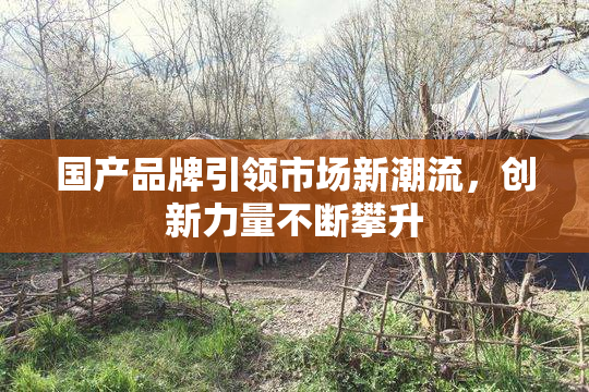 国产品牌引领市场新潮流，创新力量不断攀升