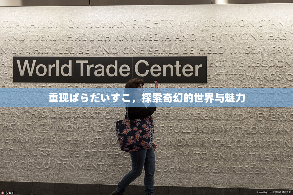 重现ぱらだいすこ，探索奇幻的世界与魅力