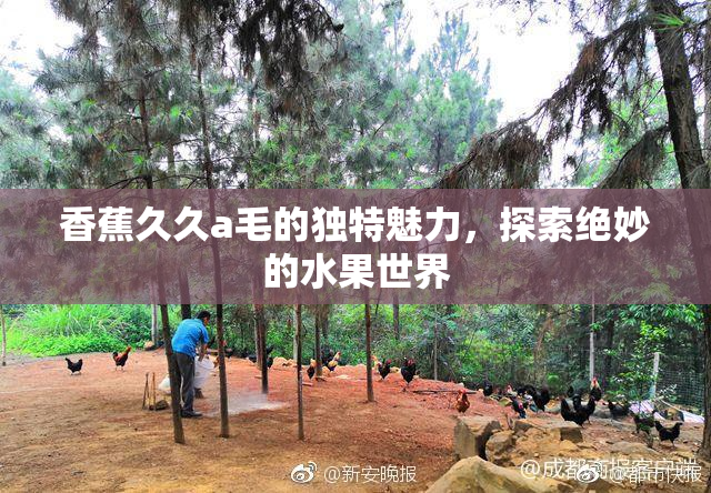 香蕉久久a毛的独特魅力，探索绝妙的水果世界