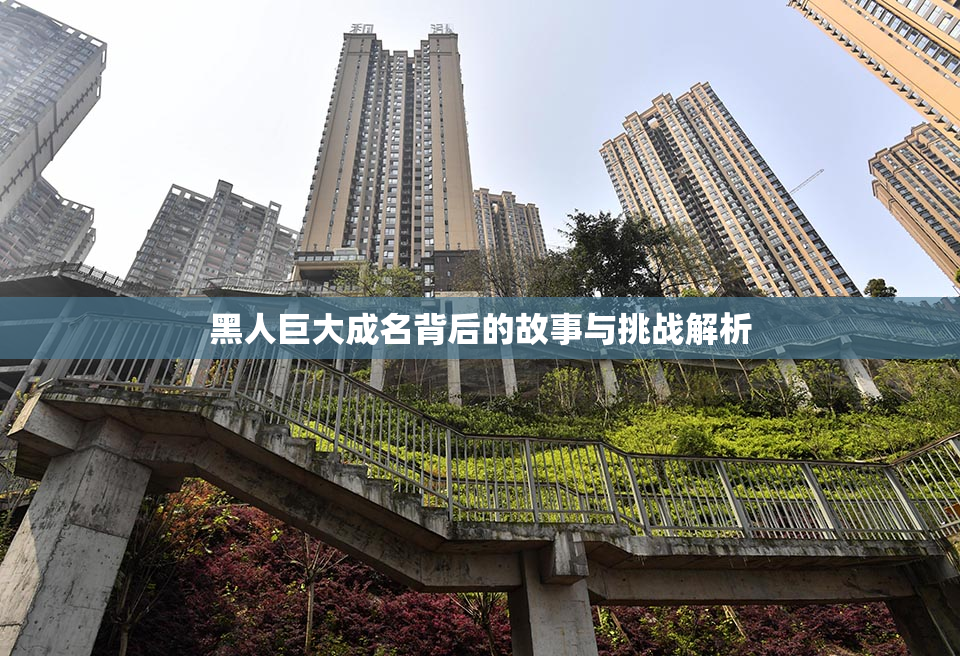 黑人巨大成名背后的故事与挑战解析