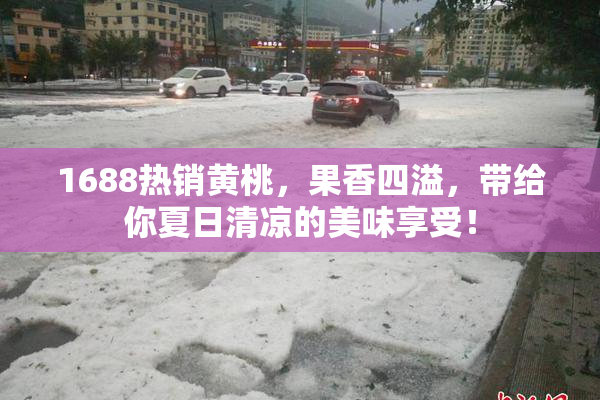 1688热销黄桃，果香四溢，带给你夏日清凉的美味享受！