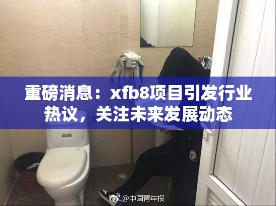 重磅消息：xfb8项目引发行业热议，关注未来发展动态