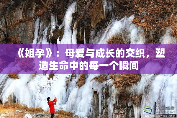 《姐孕》：母爱与成长的交织，塑造生命中的每一个瞬间