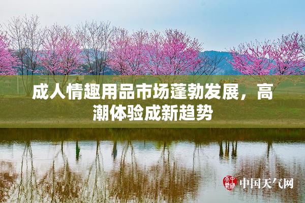 成人情趣用品市场蓬勃发展，高潮体验成新趋势