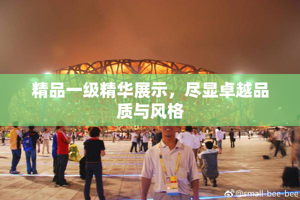 精品一级精华展示，尽显卓越品质与风格
