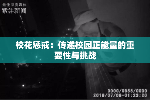 校花惩戒：传递校园正能量的重要性与挑战