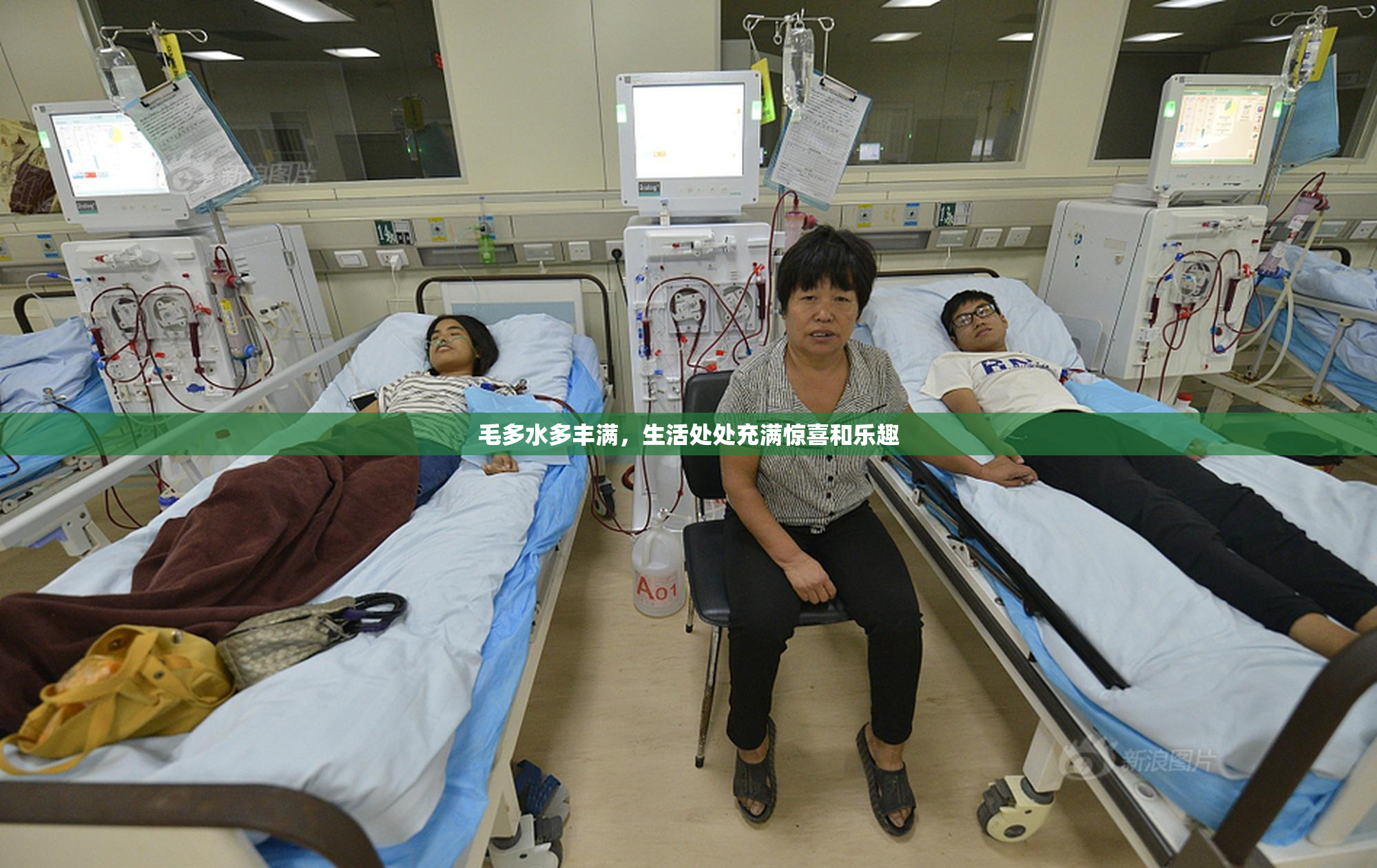 毛多水多丰满，生活处处充满惊喜和乐趣