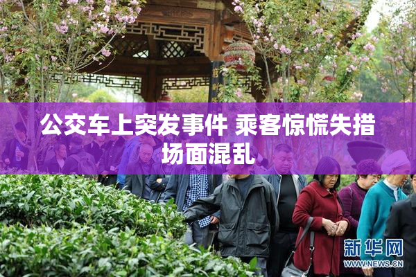 公交车上突发事件 乘客惊慌失措场面混乱