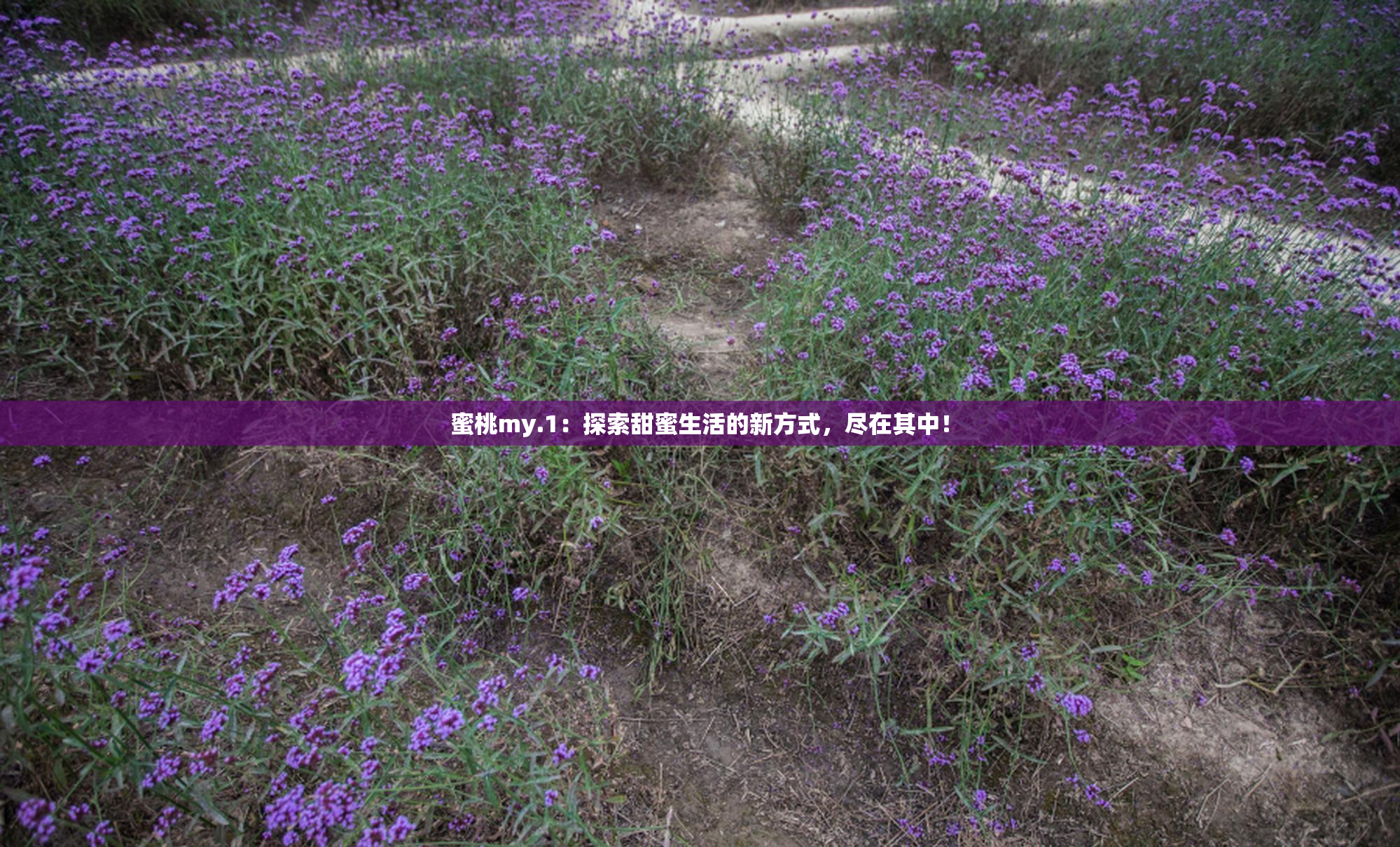 蜜桃my.1：探索甜蜜生活的新方式，尽在其中！
