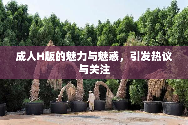 成人H版的魅力与魅惑，引发热议与关注