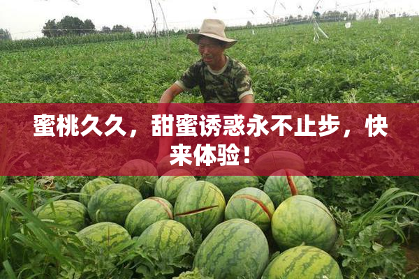 蜜桃久久，甜蜜诱惑永不止步，快来体验！