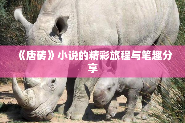 《唐砖》小说的精彩旅程与笔趣分享