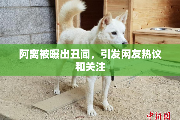阿离被曝出丑闻，引发网友热议和关注
