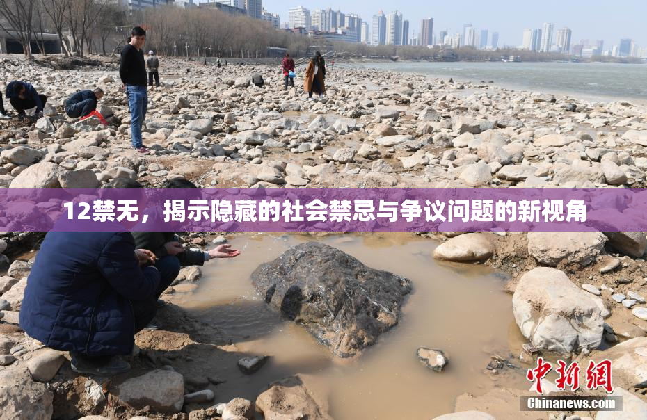 12禁无，揭示隐藏的社会禁忌与争议问题的新视角