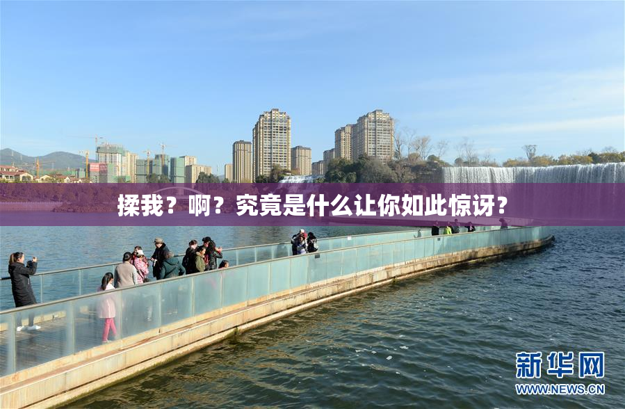 揉我？啊？究竟是什么让你如此惊讶？