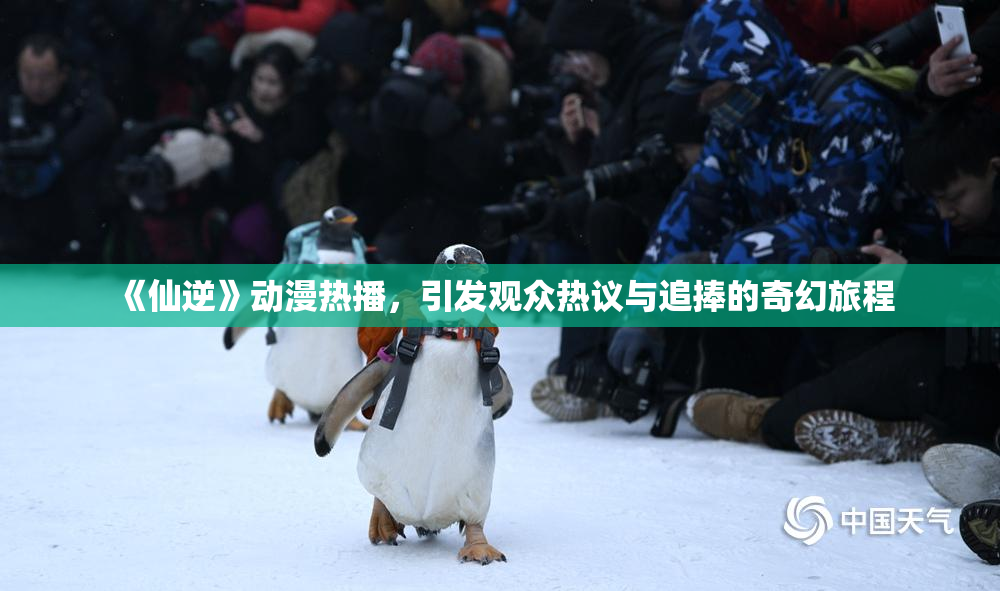 《仙逆》动漫热播，引发观众热议与追捧的奇幻旅程