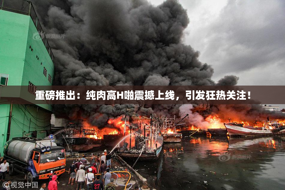 重磅推出：纯肉高H啪震撼上线，引发狂热关注！
