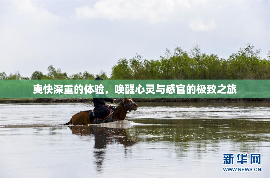 爽快深重的体验，唤醒心灵与感官的极致之旅