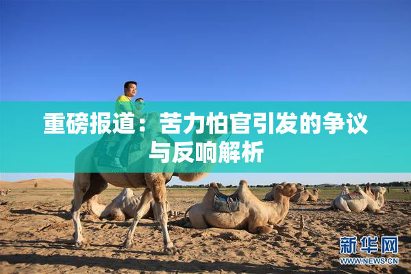 重磅报道：苦力怕官引发的争议与反响解析