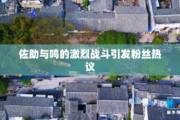 佐助与鸣的激烈战斗引发粉丝热议