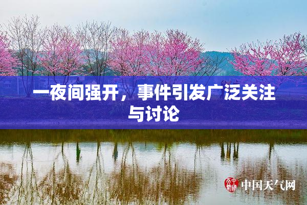 一夜间强开，事件引发广泛关注与讨论