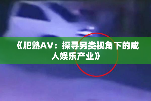 《肥熟AV：探寻另类视角下的成人娱乐产业》