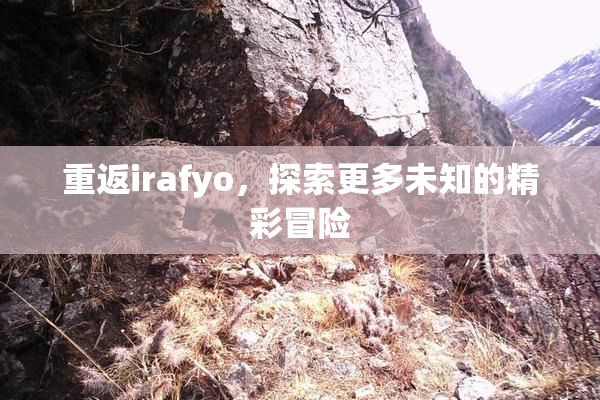 重返irafyo，探索更多未知的精彩冒险