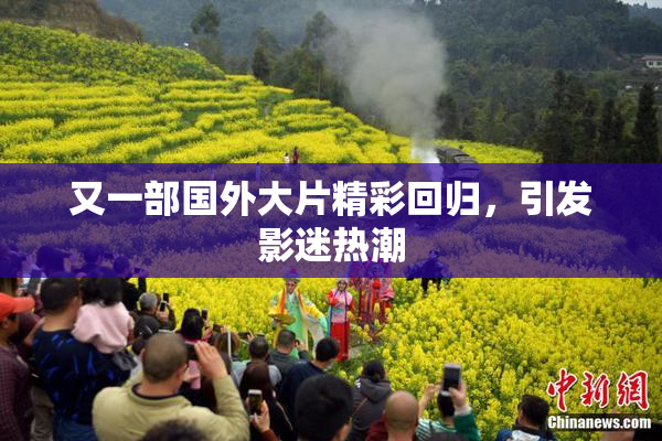 又一部国外大片精彩回归，引发影迷热潮