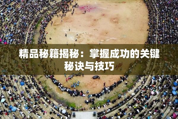 精品秘籍揭秘：掌握成功的关键秘诀与技巧