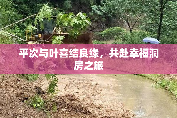 平次与叶喜结良缘，共赴幸福洞房之旅