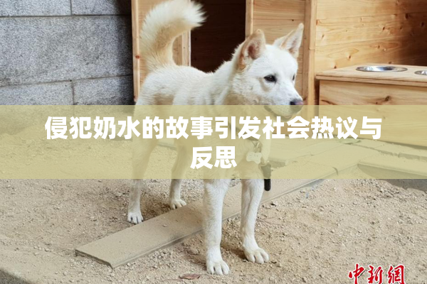 侵犯奶水的故事引发社会热议与反思