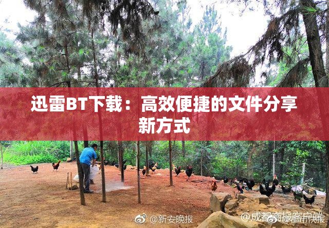 迅雷BT下载：高效便捷的文件分享新方式