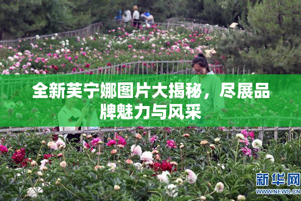 全新芙宁娜图片大揭秘，尽展品牌魅力与风采