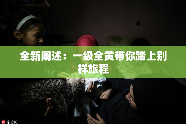 全新阐述：一级全黄带你踏上别样旅程