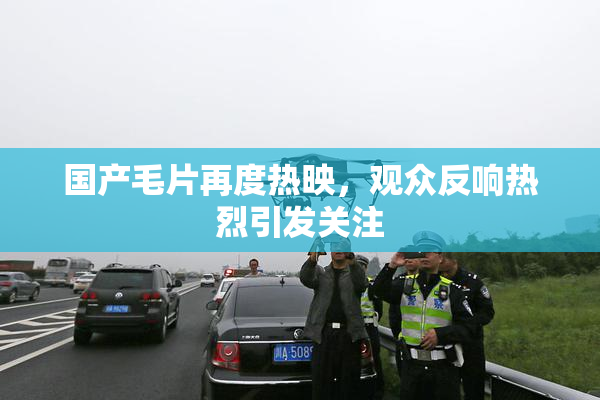 国产毛片再度热映，观众反响热烈引发关注
