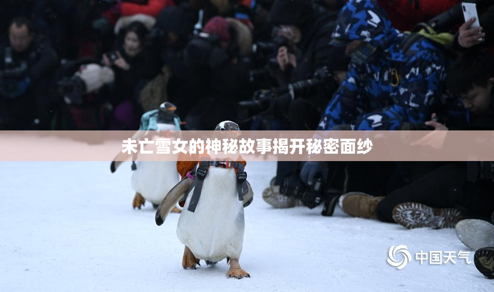 未亡雪女的神秘故事揭开秘密面纱