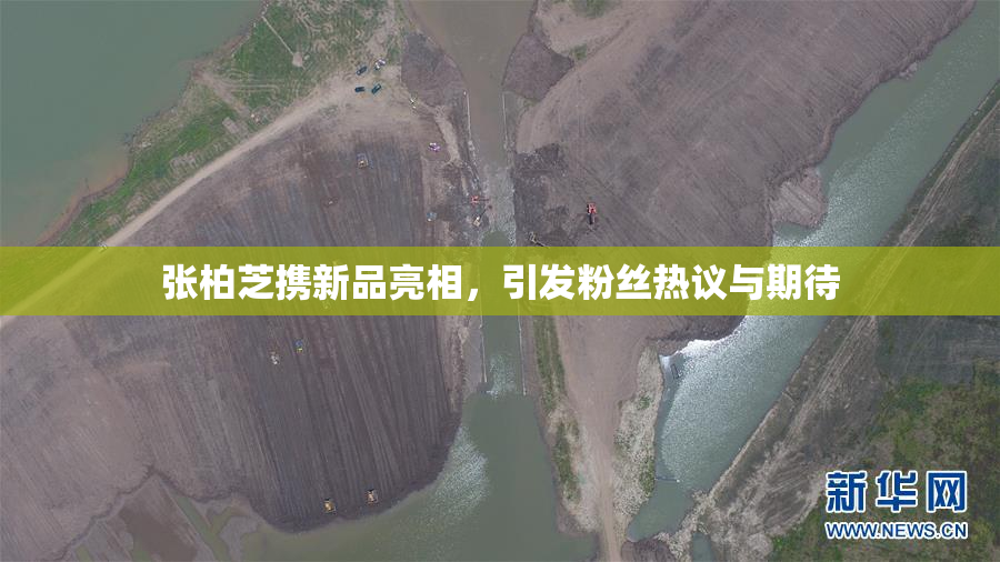 张柏芝携新品亮相，引发粉丝热议与期待