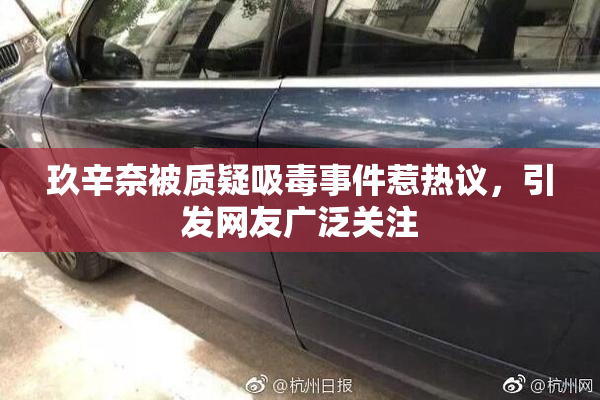 玖辛奈被质疑吸毒事件惹热议，引发网友广泛关注