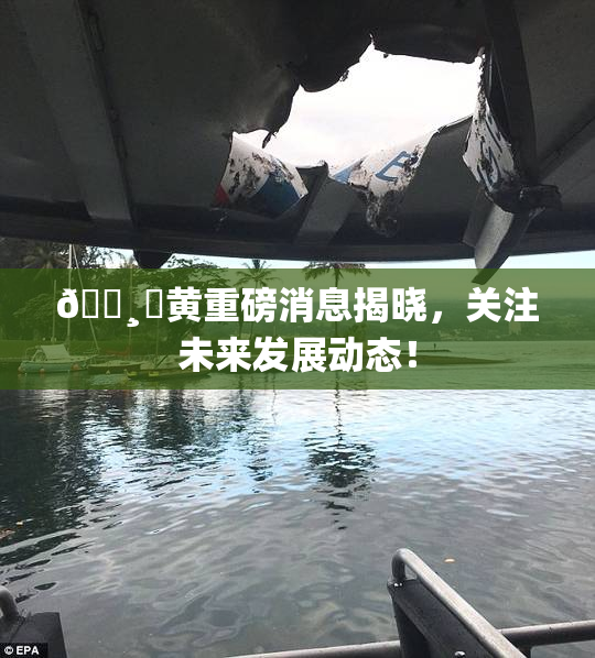 🌸‌黄重磅消息揭晓，关注未来发展动态！