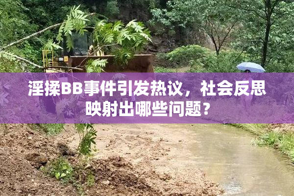 淫揉BB事件引发热议，社会反思映射出哪些问题？