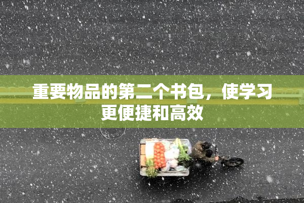 重要物品的第二个书包，使学习更便捷和高效