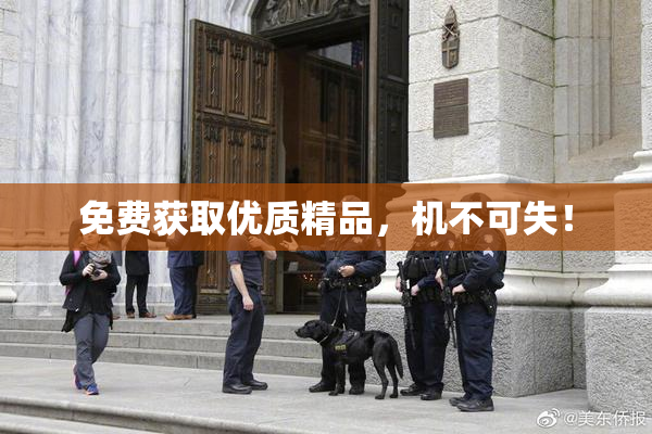 免费获取优质精品，机不可失！