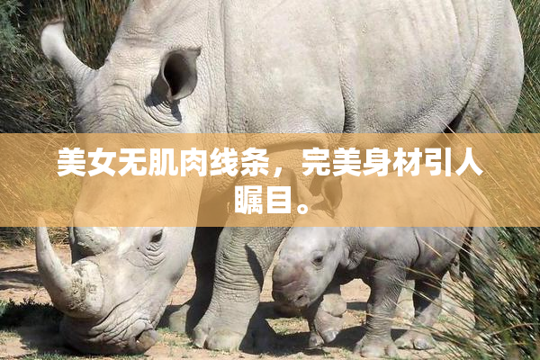 美女无肌肉线条，完美身材引人瞩目。
