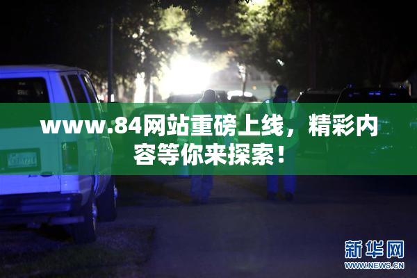 www.84网站重磅上线，精彩内容等你来探索！