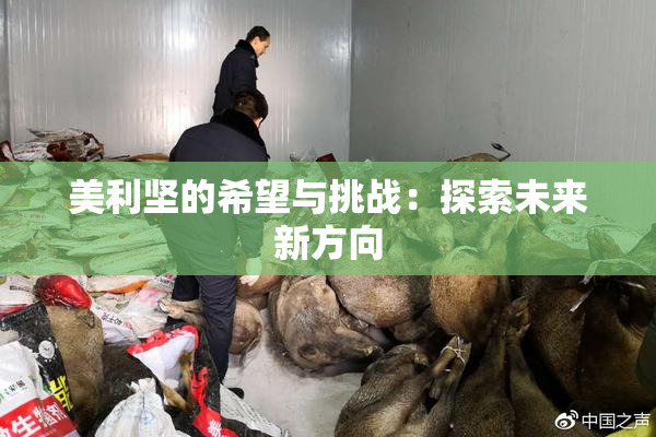 美利坚的希望与挑战：探索未来新方向
