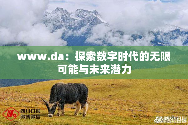 www.da：探索数字时代的无限可能与未来潜力